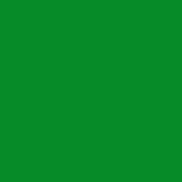 MAVI STEP Custom Smooth Leather Shoe Cream - Green in Fir Green 2570-G20Y - , SKU SL-C